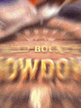 WILD BOUNTY SHOWDOWN